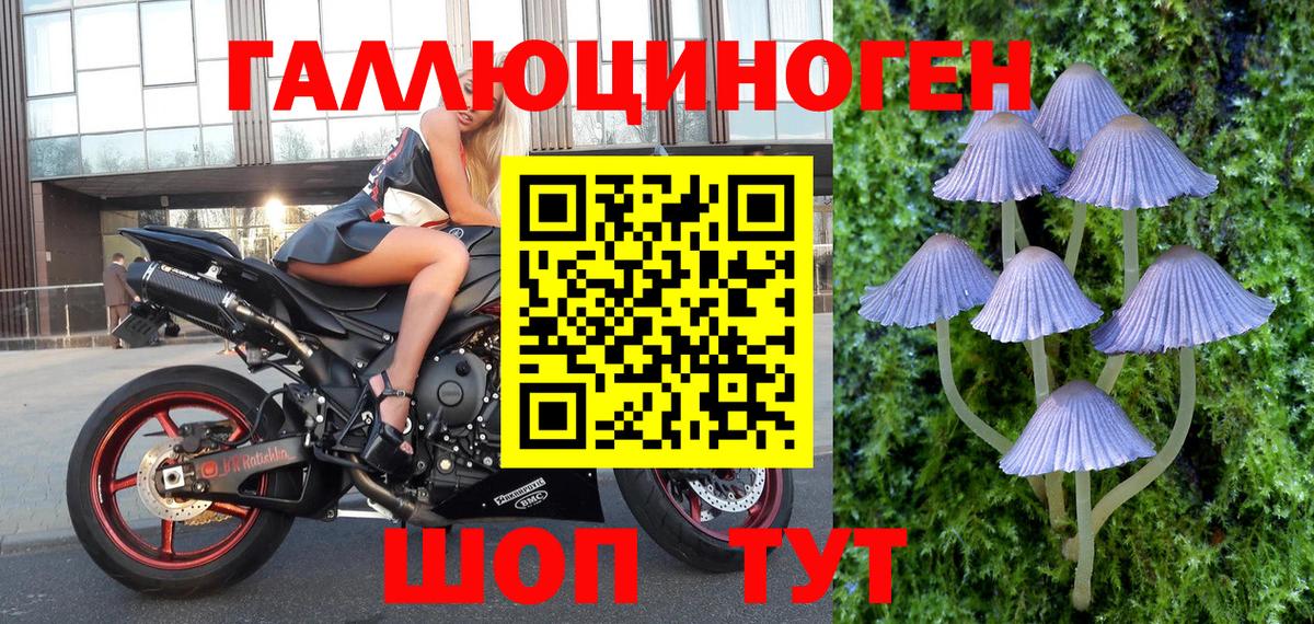 Псилоцибиновые грибы ЛСД  Вход с VPN  Тверь 